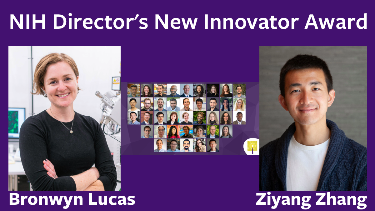 Lucas and Zhang receive NIH New Innovator Awards