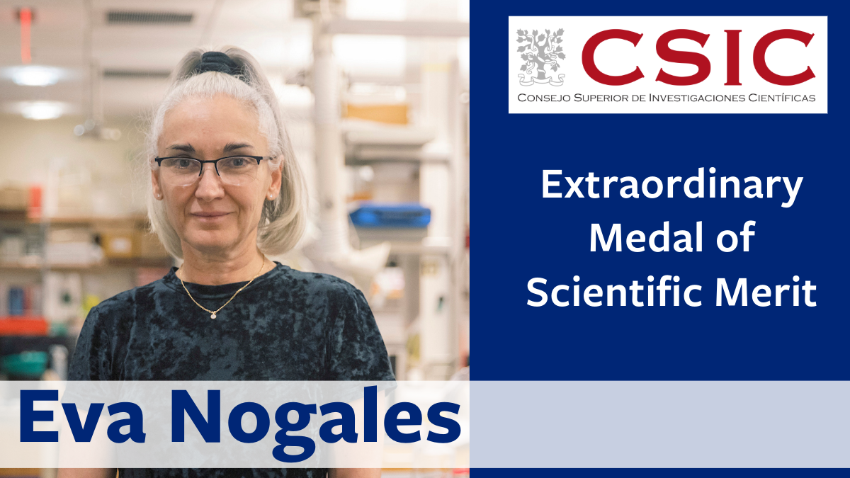 Nogales awarded Extraordinary Medal of Scientific Merit from the Higher Council for Scientific Research (CSIC)